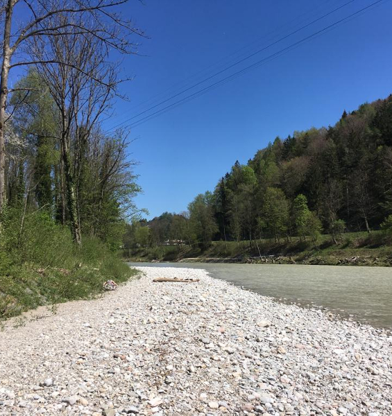 IMG-20190421-WA0032_600